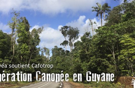 Mission CAFOTROP en Guyane