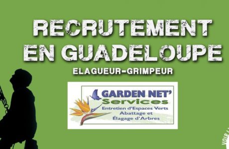 Garden Net Service recrute un élagueur-grimpeur en Guadeloupe