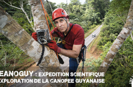 Océanoguy : expédition scientifique en Guyane