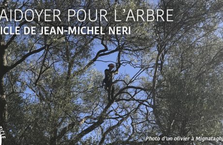 Plaidoyer pour l’arbre, de Jean-Michel NERI