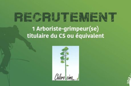Chlorocime recrute un(e) arboriste-grimpeur(se)