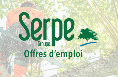 Le groupe SERPE recrute