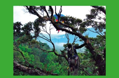 Inventaire de la biodiversité des canopées forestières du Laos