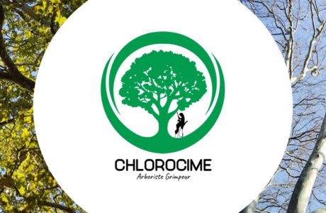 Chlorocime recrute un(e) élagueur(se) grimpeur(se)